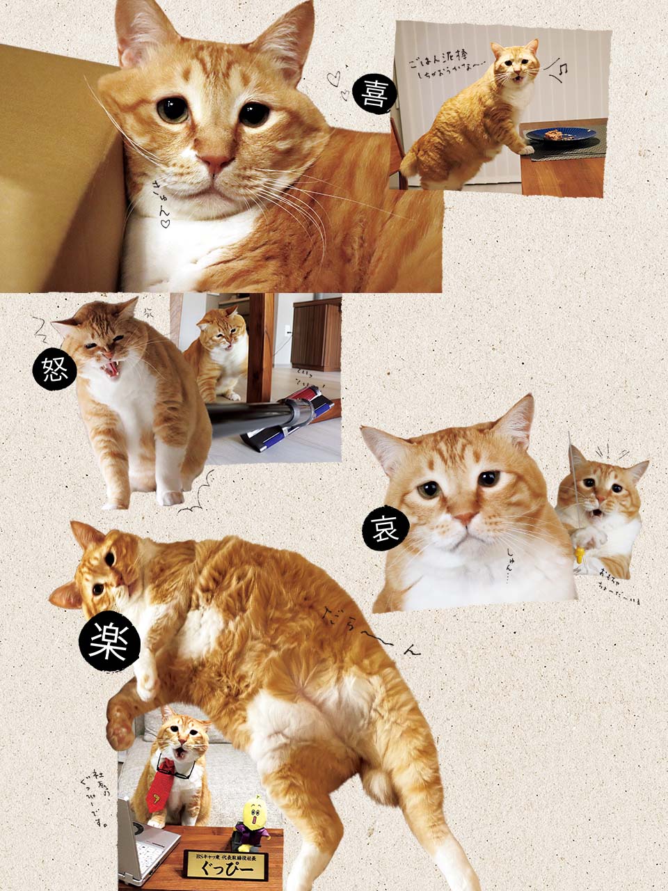 ぐっぴー喜怒哀楽
