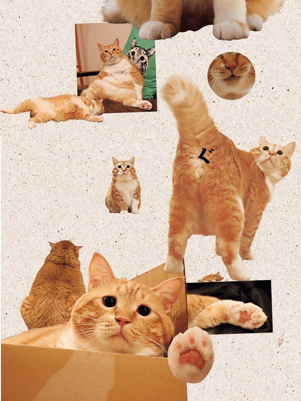 ぐっぴーのかわいいパーツ