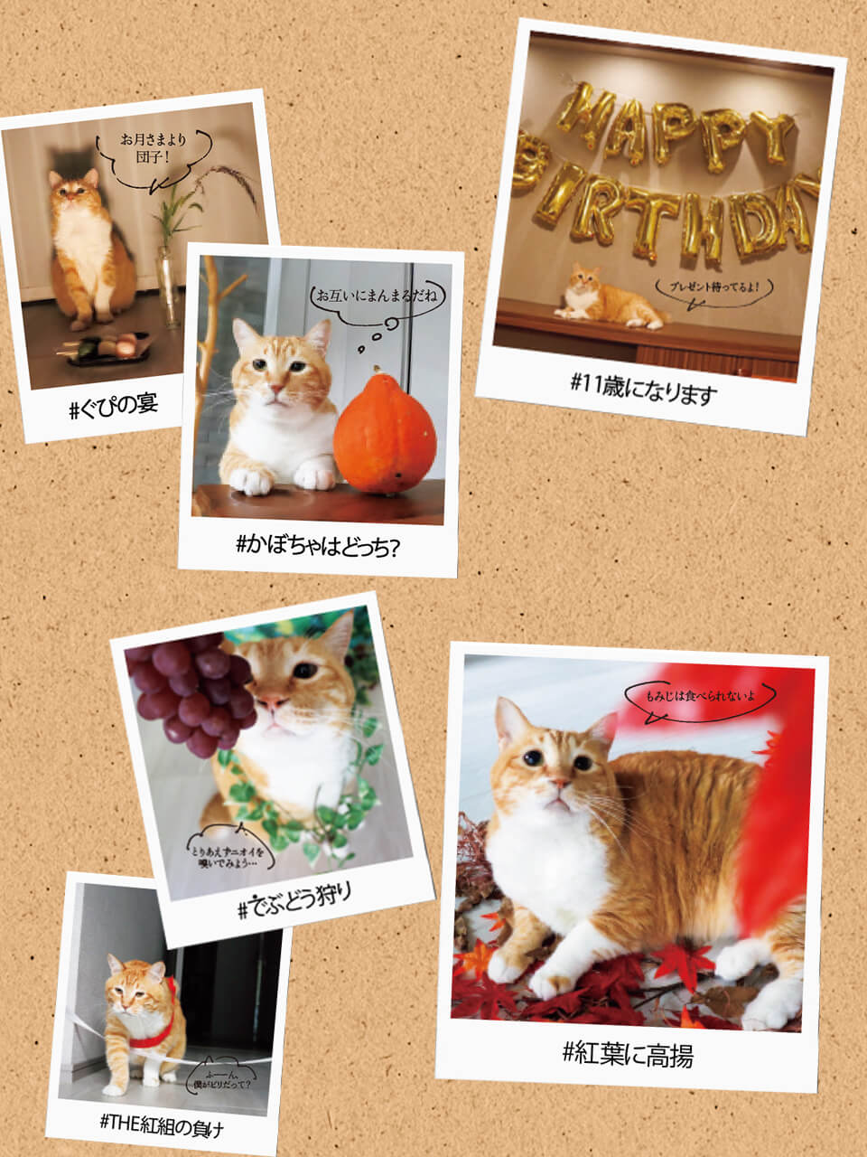 秋映えぐっぴー