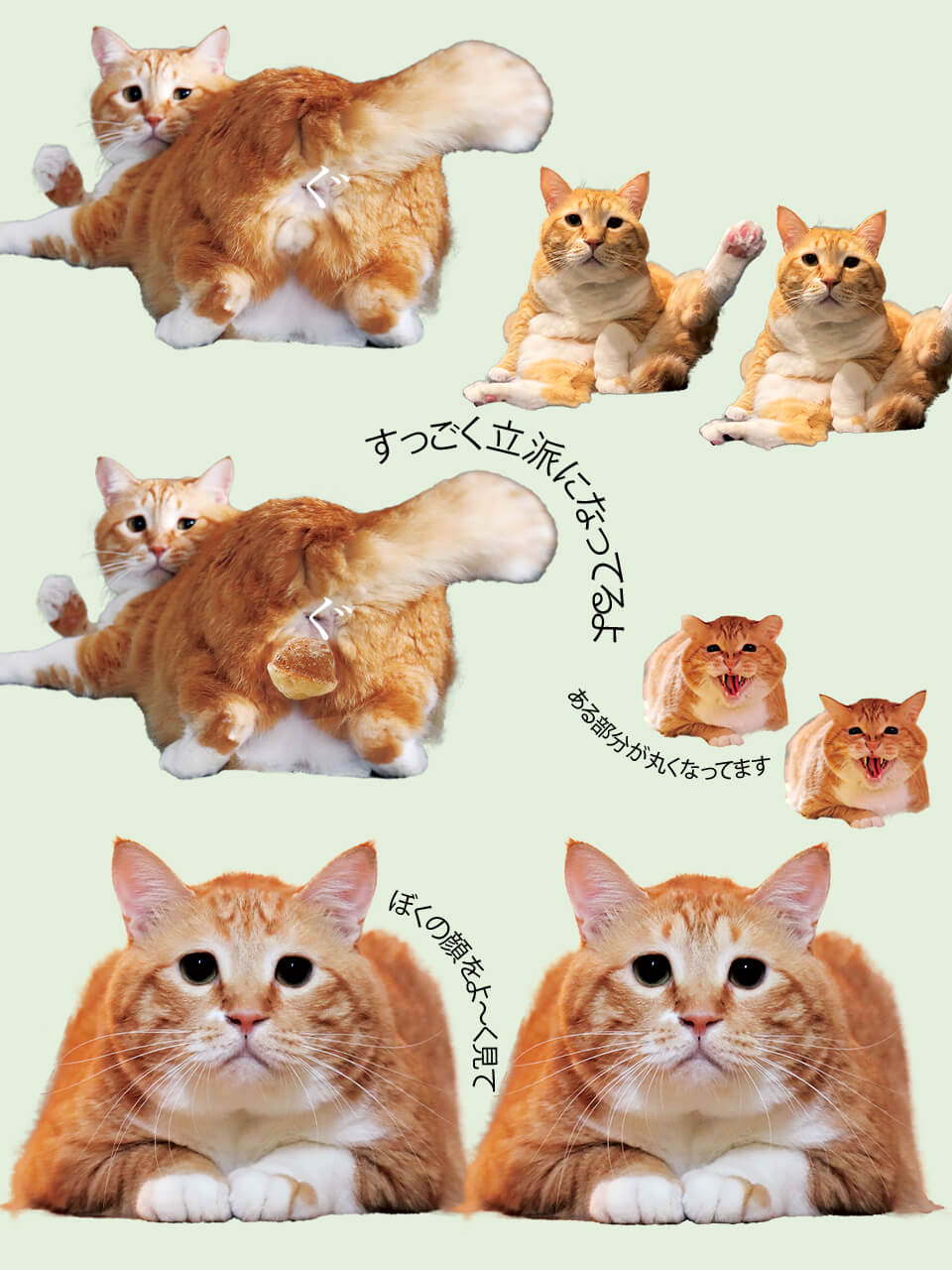 ぐっぴーの間違い探し