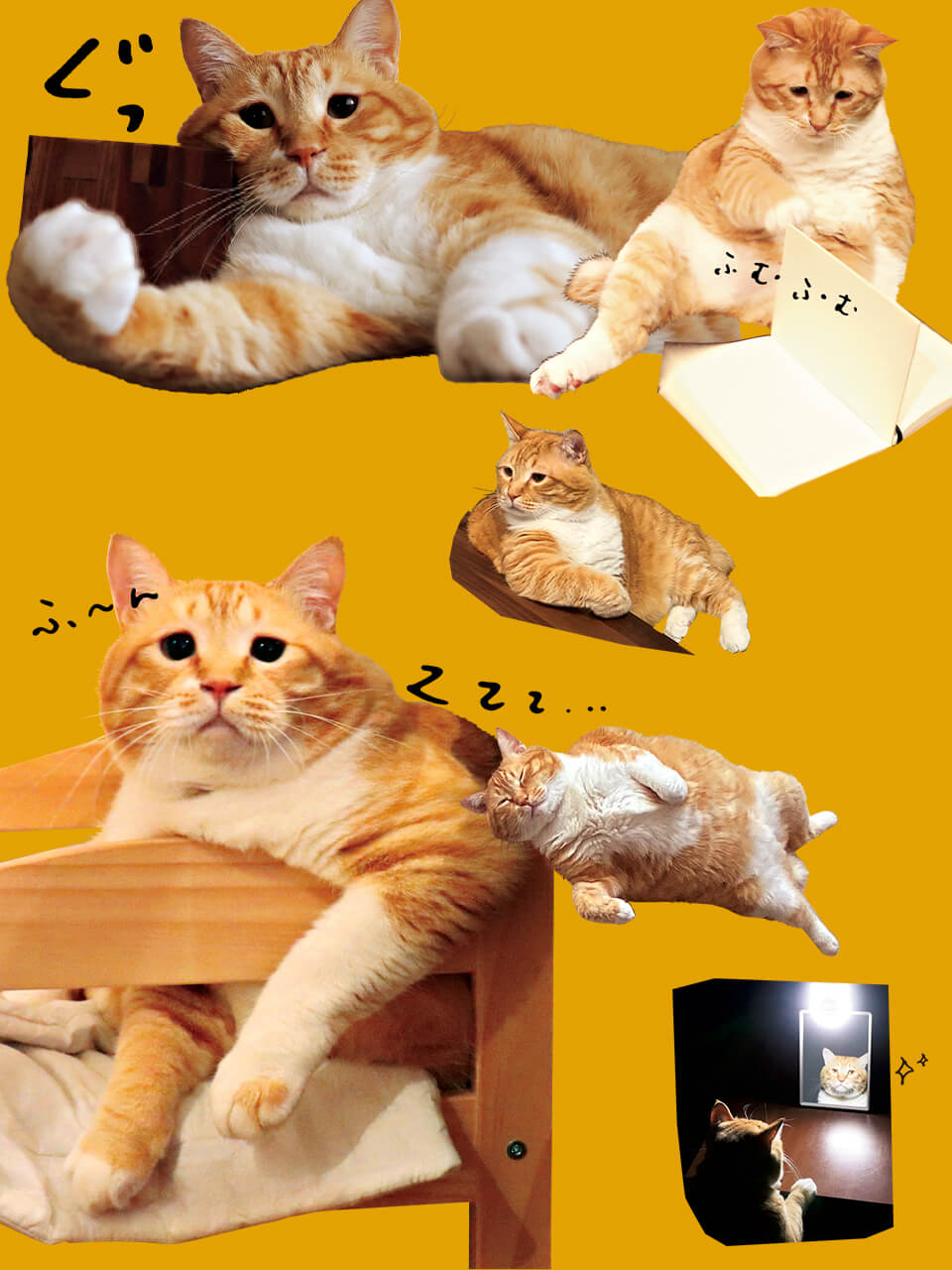 ぐっぴーのポジティブマインド