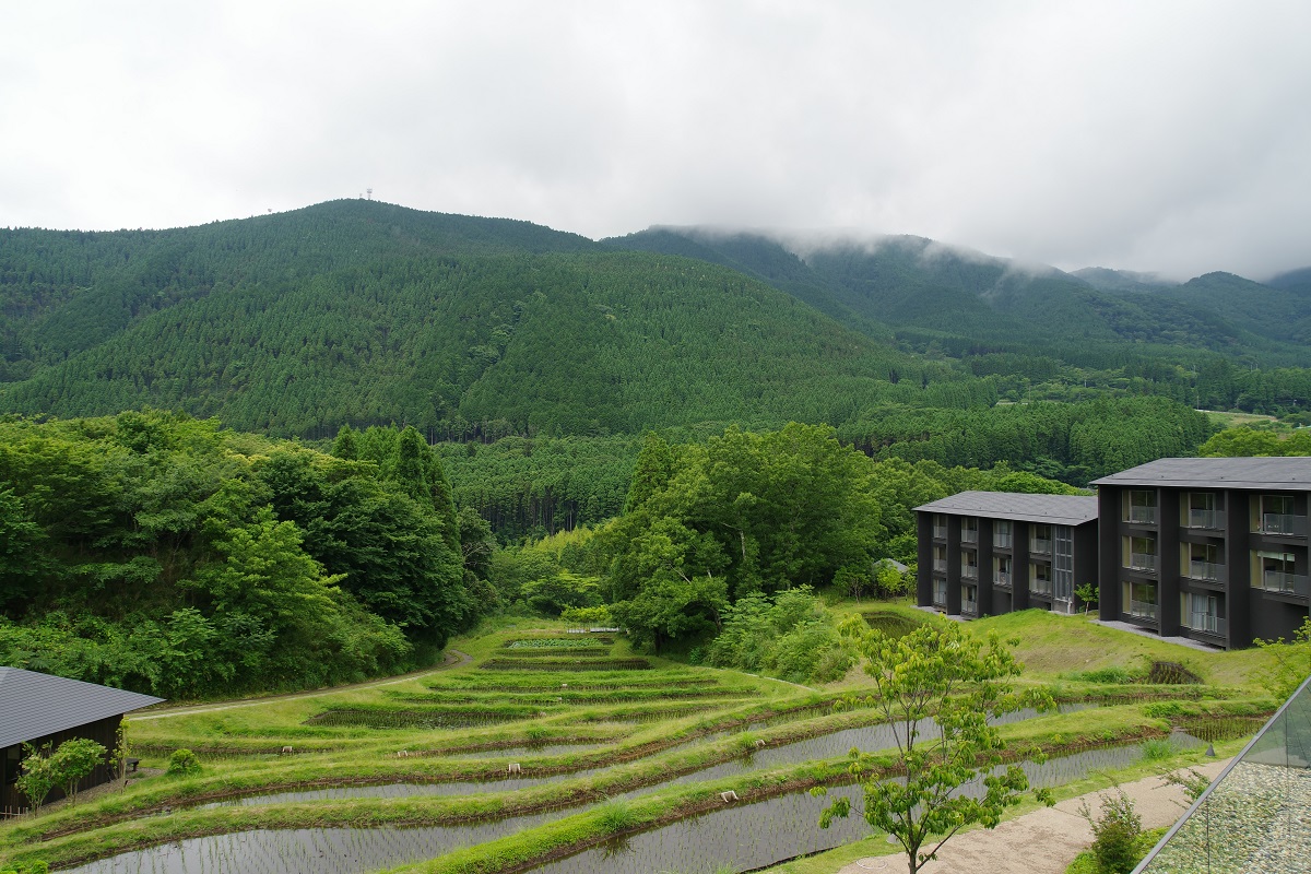 棚田の風景の画像