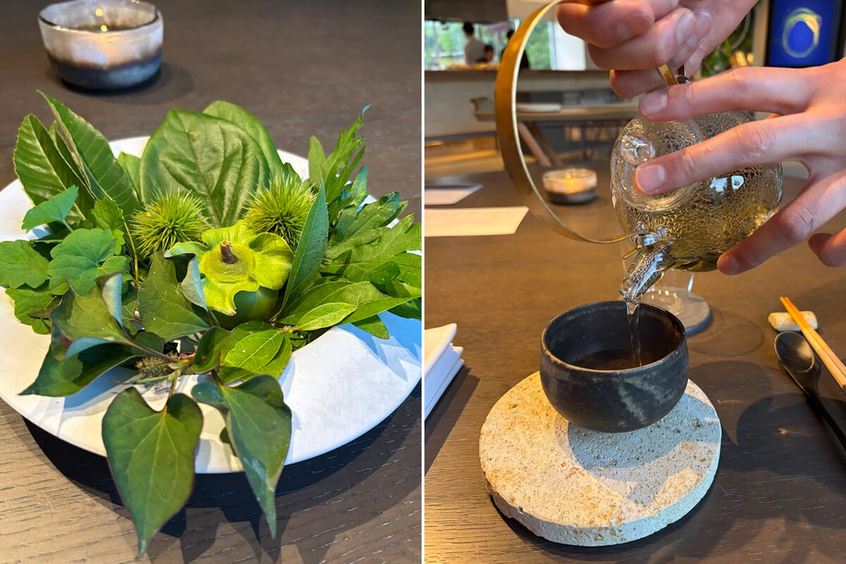 左は最初に供されるお茶に使われている素材の、クリ、カキ、カキドオシ、ヨモギ、クロモジ、ドクダミ。　右は香りも舌当たりも心地よいボタニカルなお茶の画像