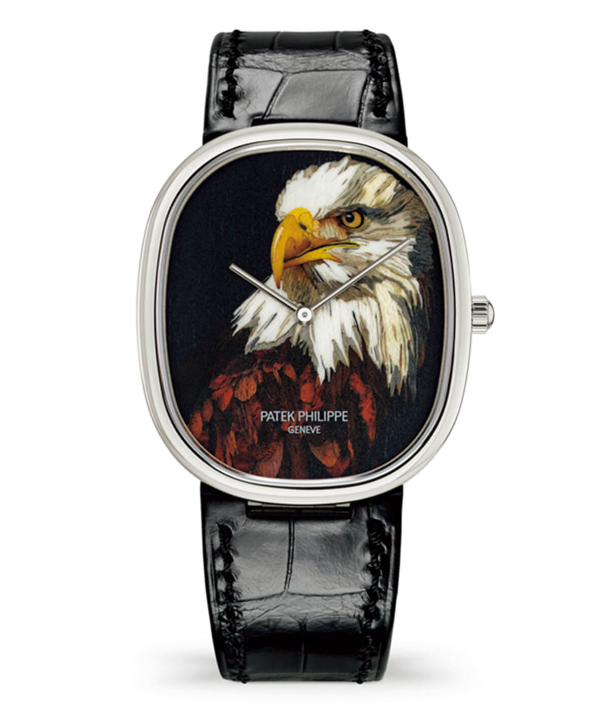 パテック フィリップのゴールデン・エリプス  Ref.5738/50J（ハクトウワシ）の画像