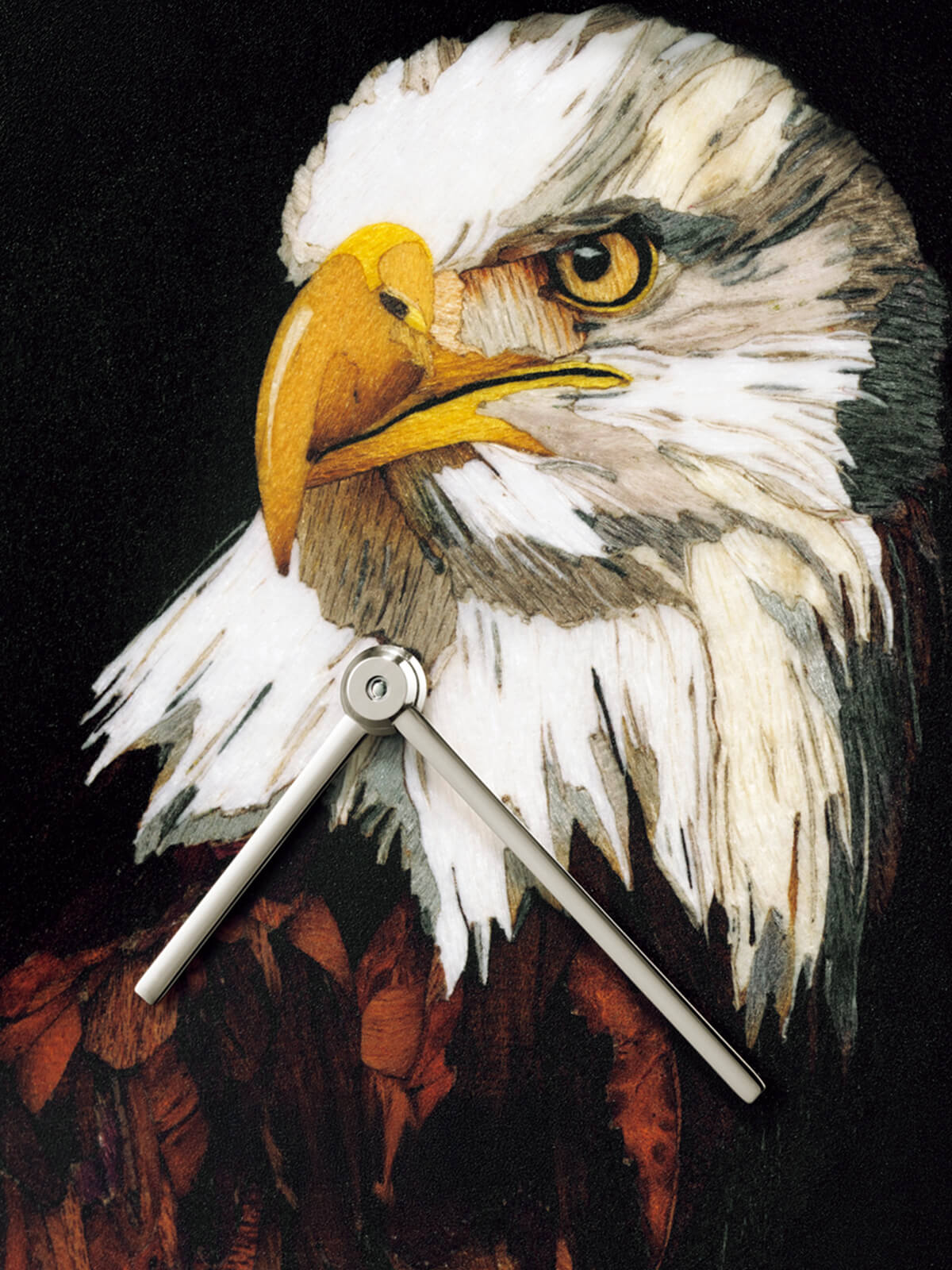 ゴールデン・エリプス  Ref.5738/50J（ハクトウワシ）の拡大画像