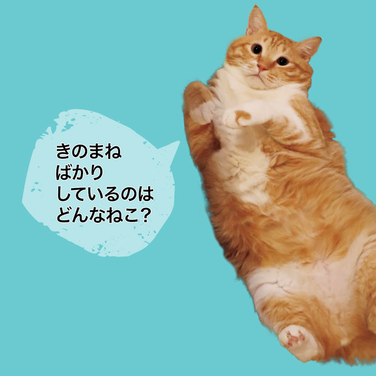 ぐっぴーの画像