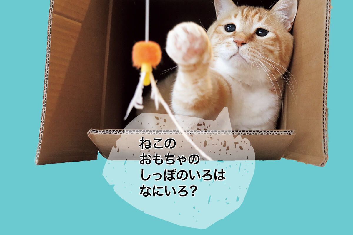 ぐっぴーの画像
