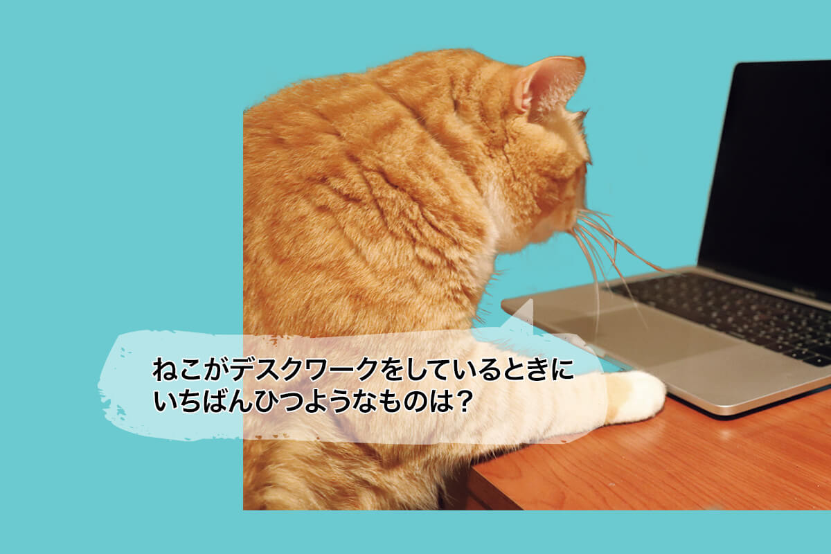ぐっぴーの画像