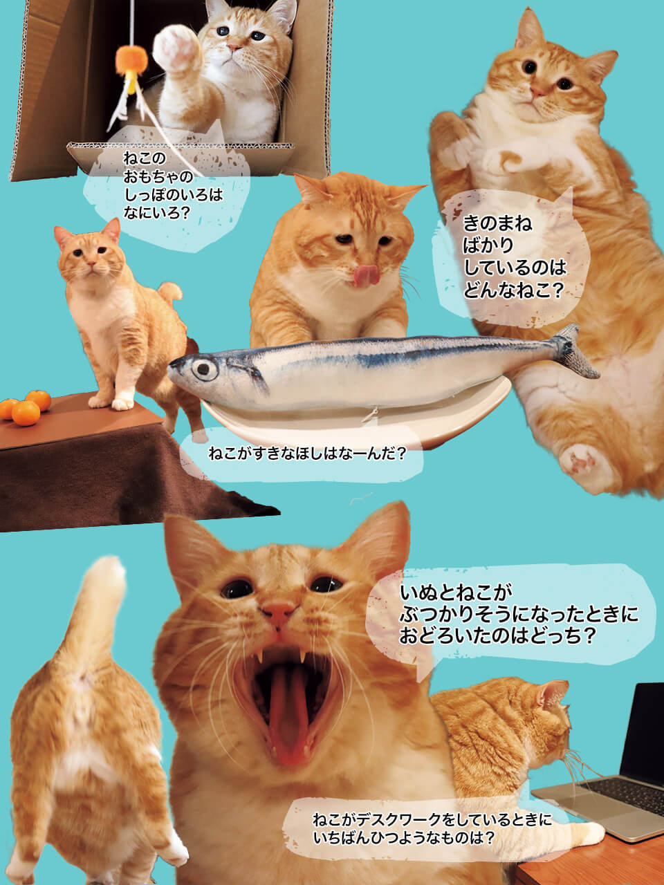 なぞなぞぐっぴー