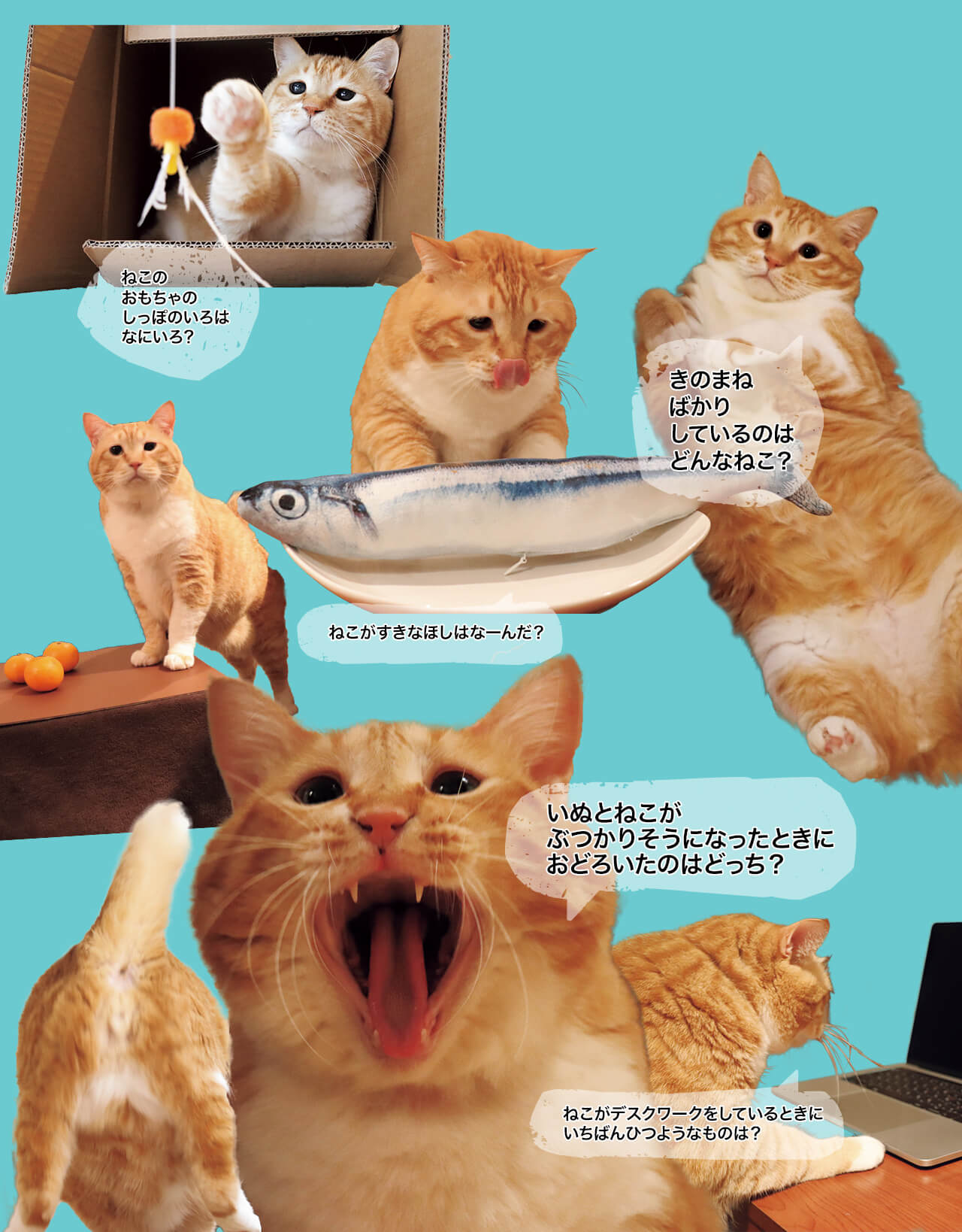 なぞなぞぐっぴー