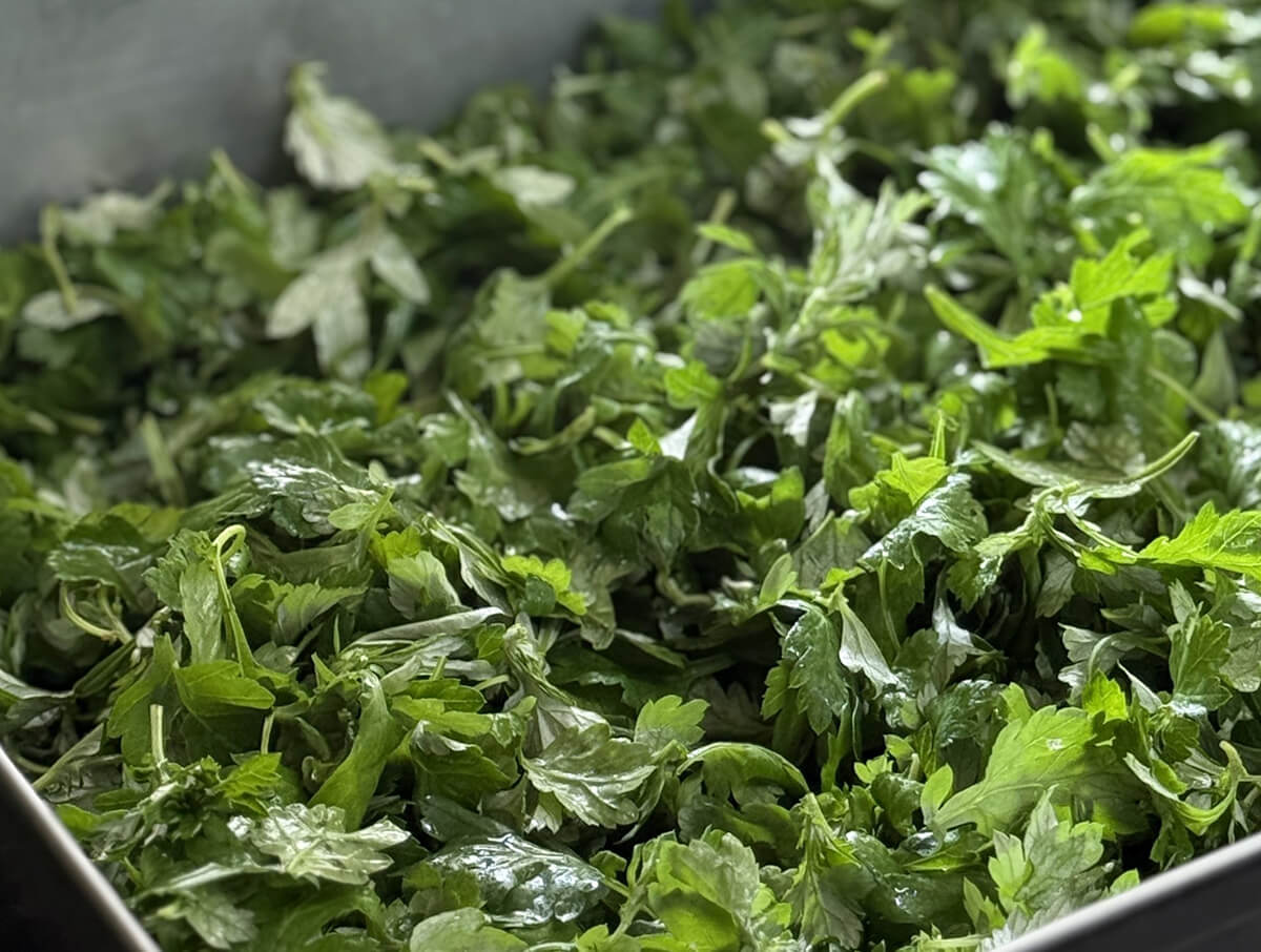 フーチバーの画像