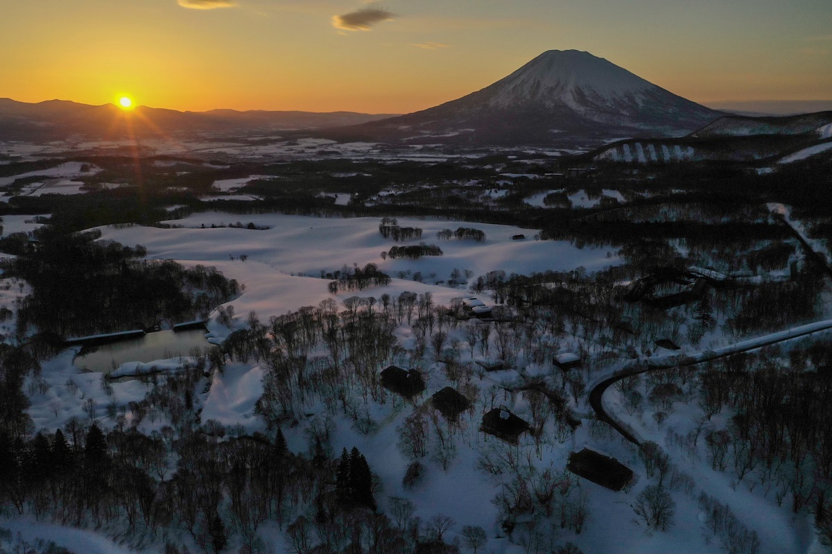 広大な原生林の中に佇む「SHIGUCHI」の画像