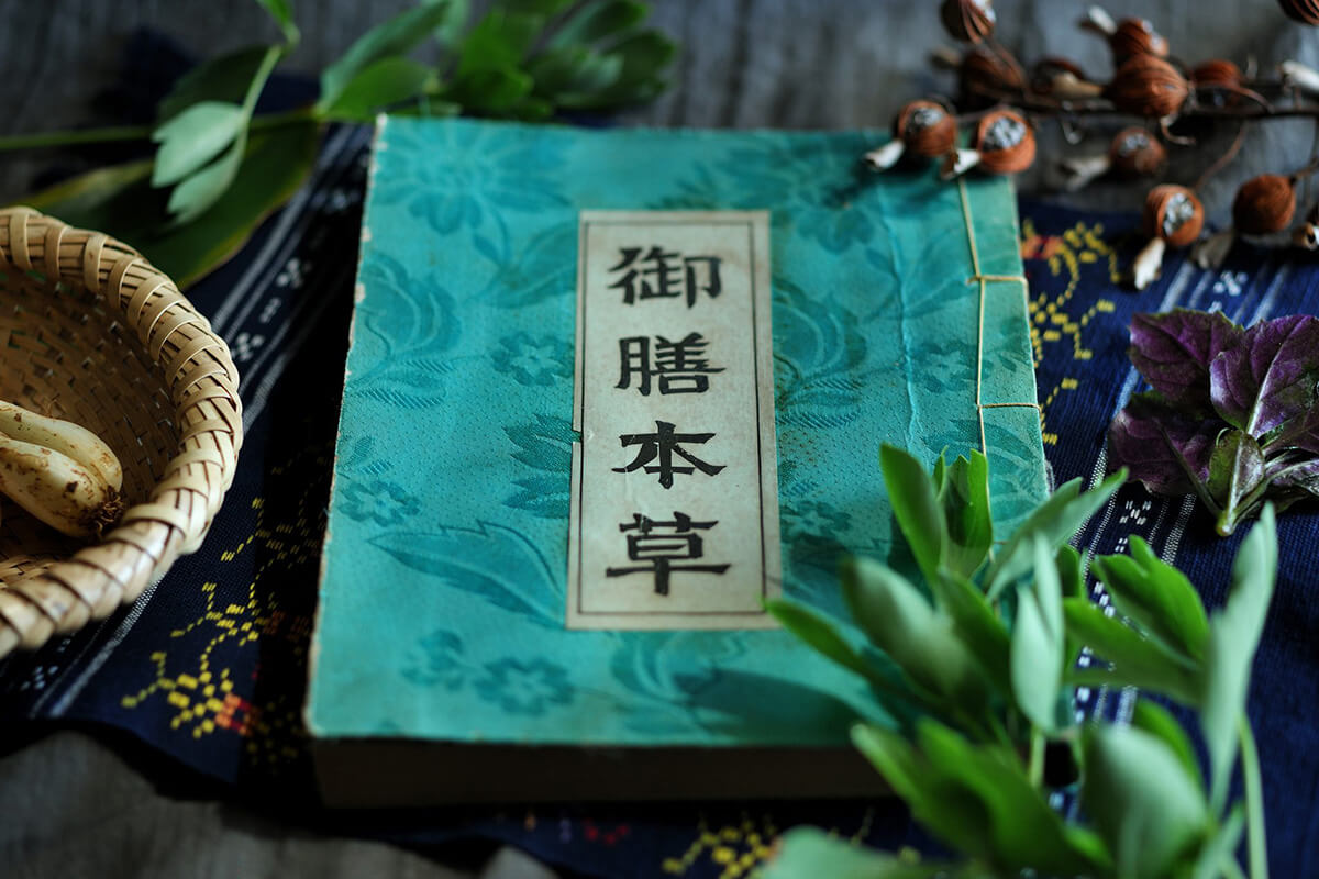 食医学書「御膳本草(ごぜんほんそう)」の画像