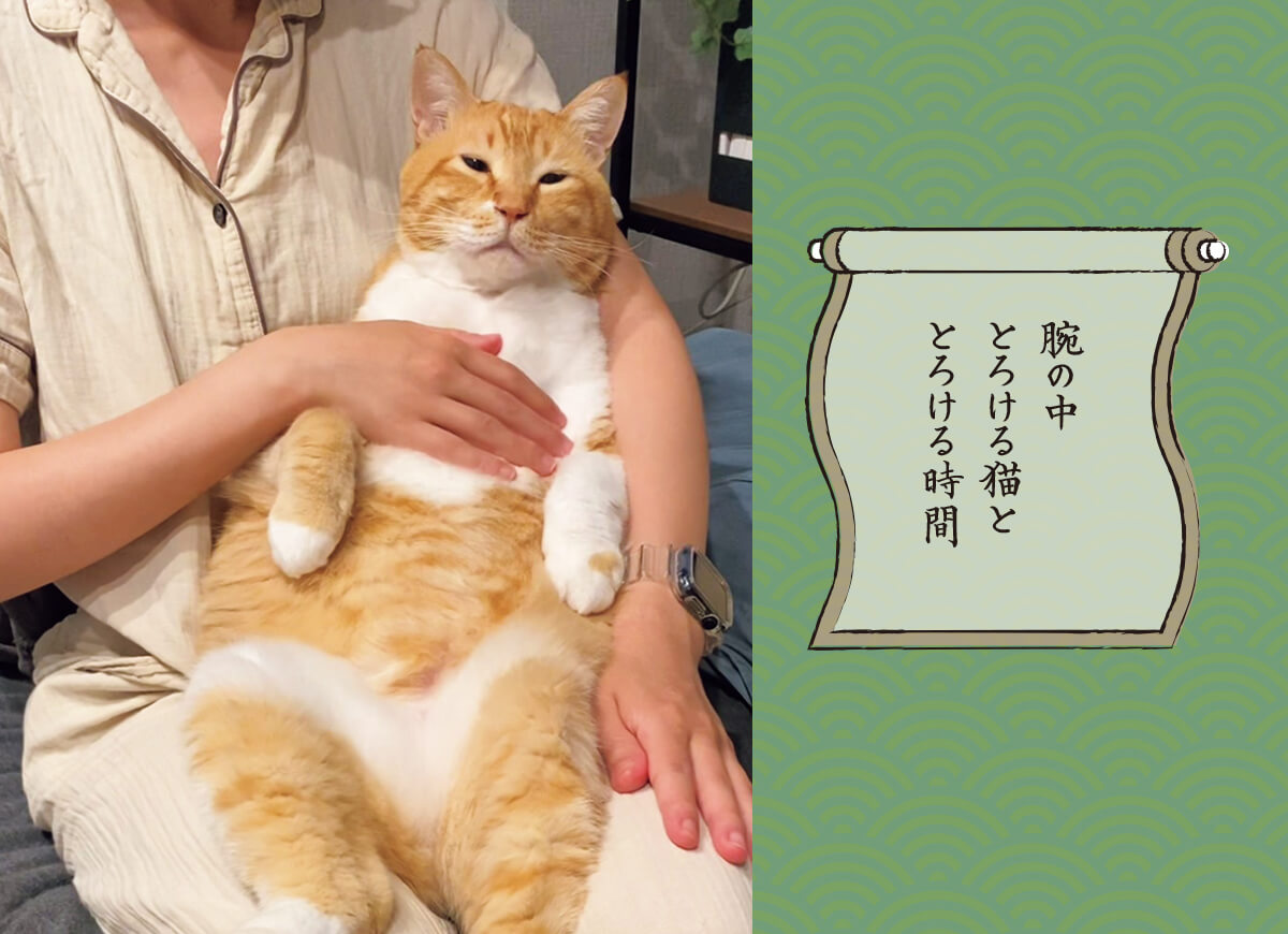 ぐっぴーの画像