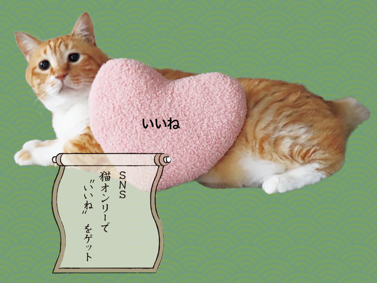 ぐっぴーの画像