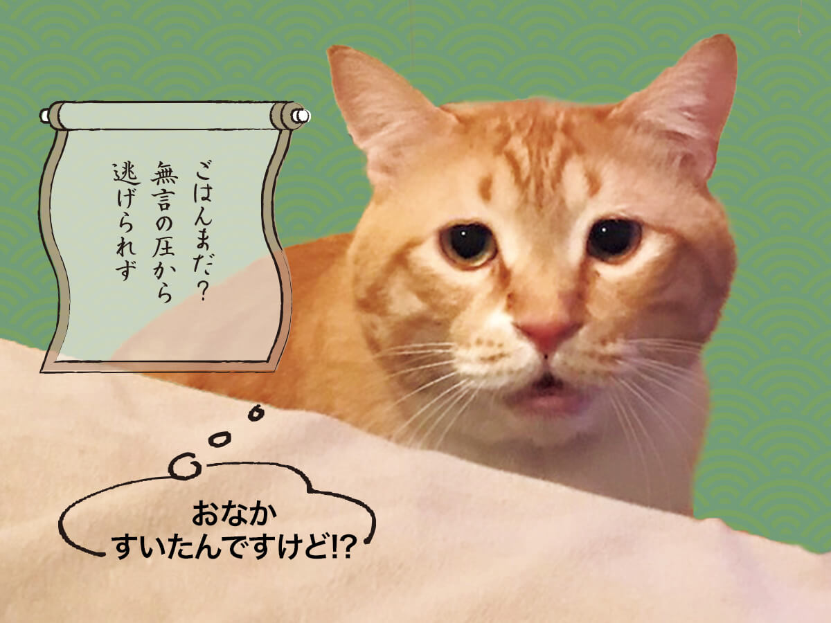 ぐっぴーの画像