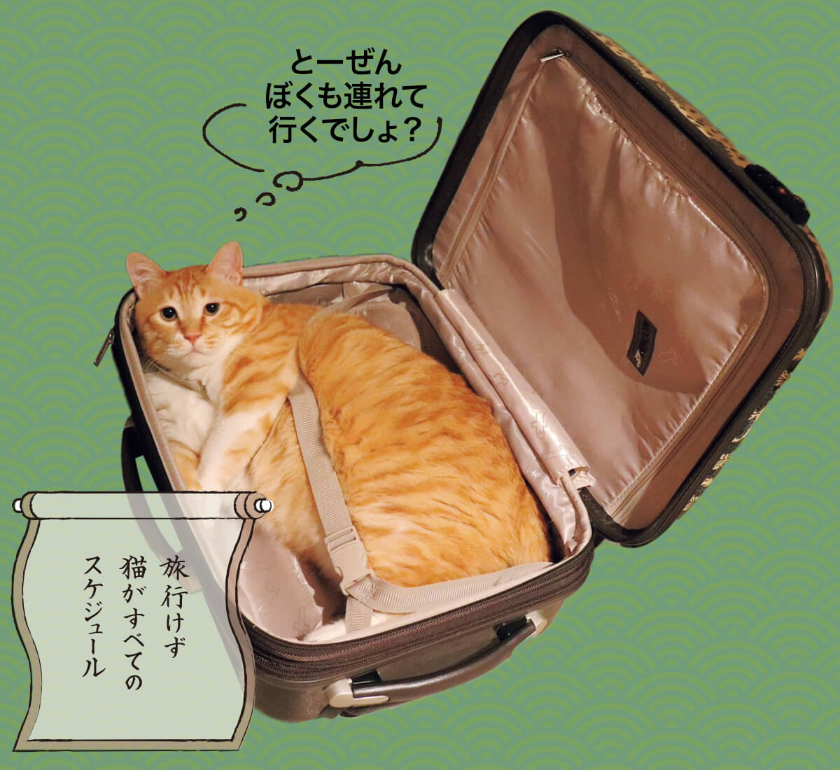 ぐっぴーの画像