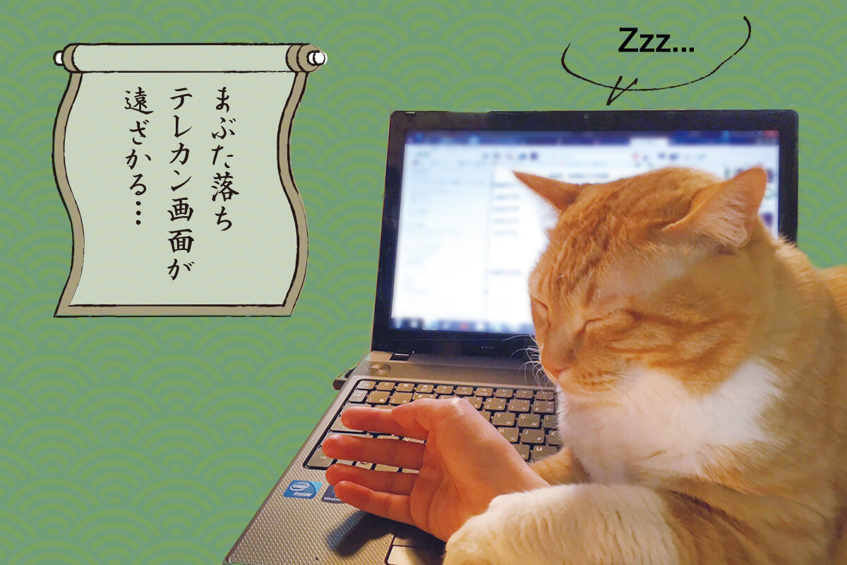 ぐっぴーの画像