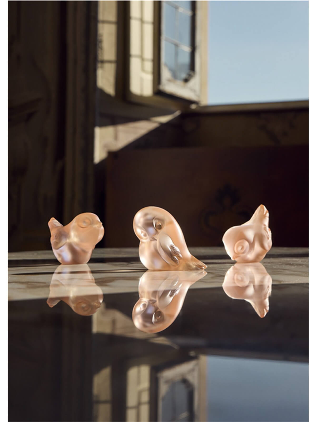 ピウ・ピウ(コーラルパティーナ)の画像