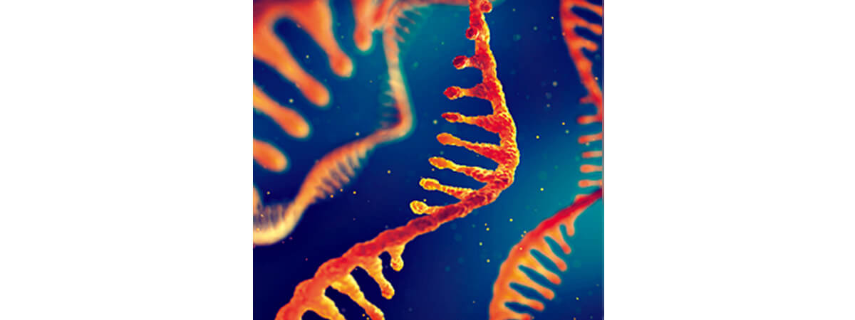 皮脂RNAモニタリングを含む肌解析の画像イメージ