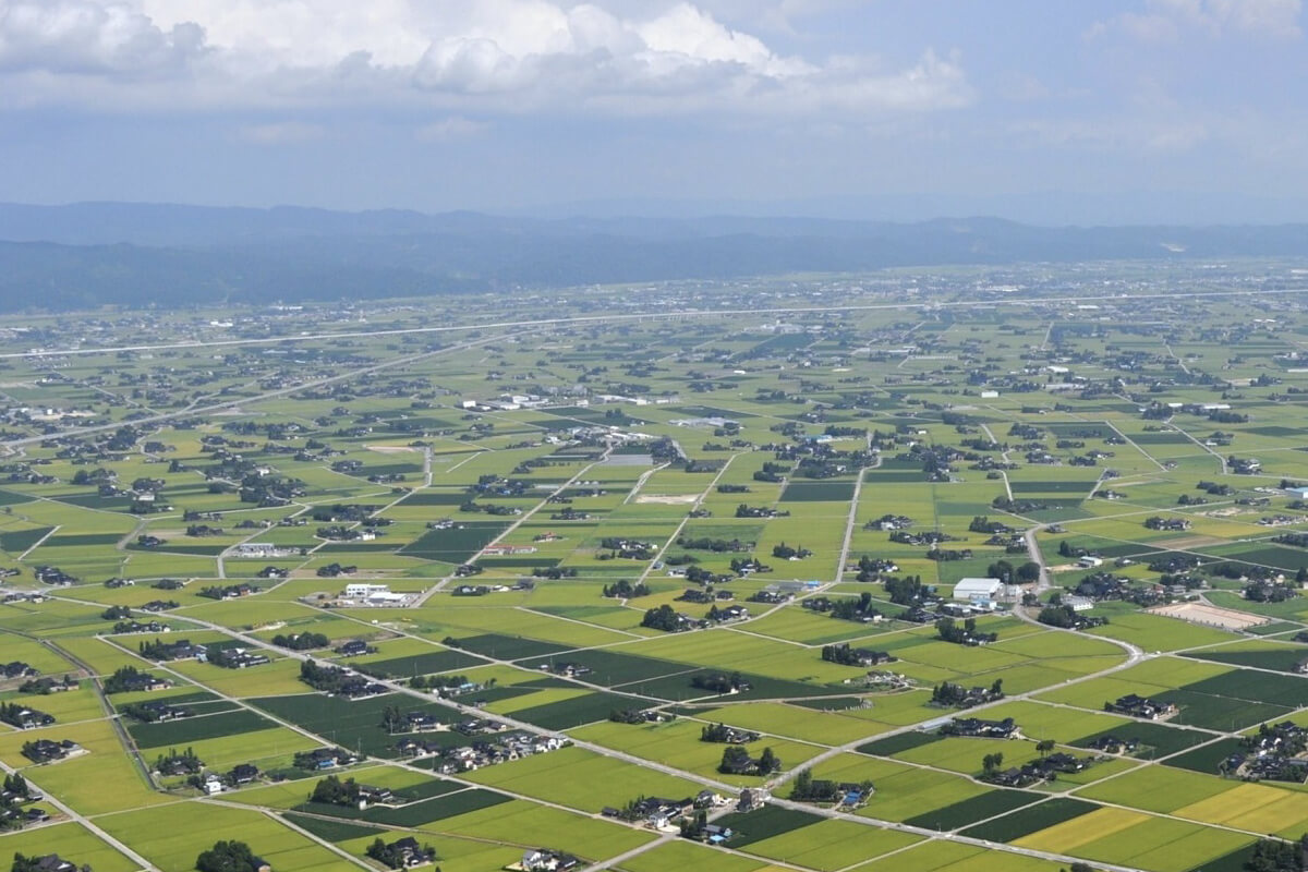 富山県西部・砺波平野に広がる日本最大級の「散居村」の画像