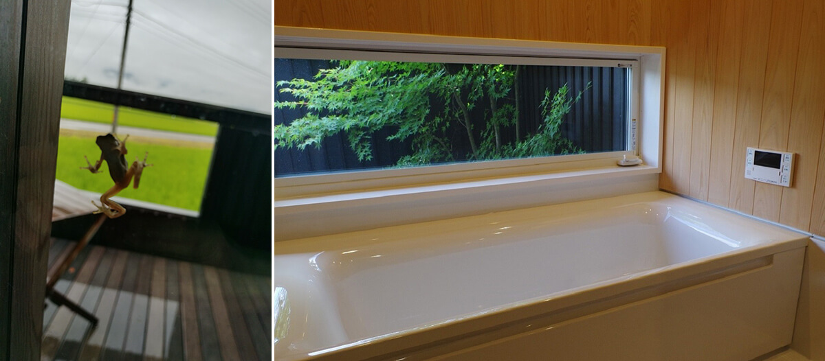 左/窓にくっついたカエルの画像 右/バスルームの画像