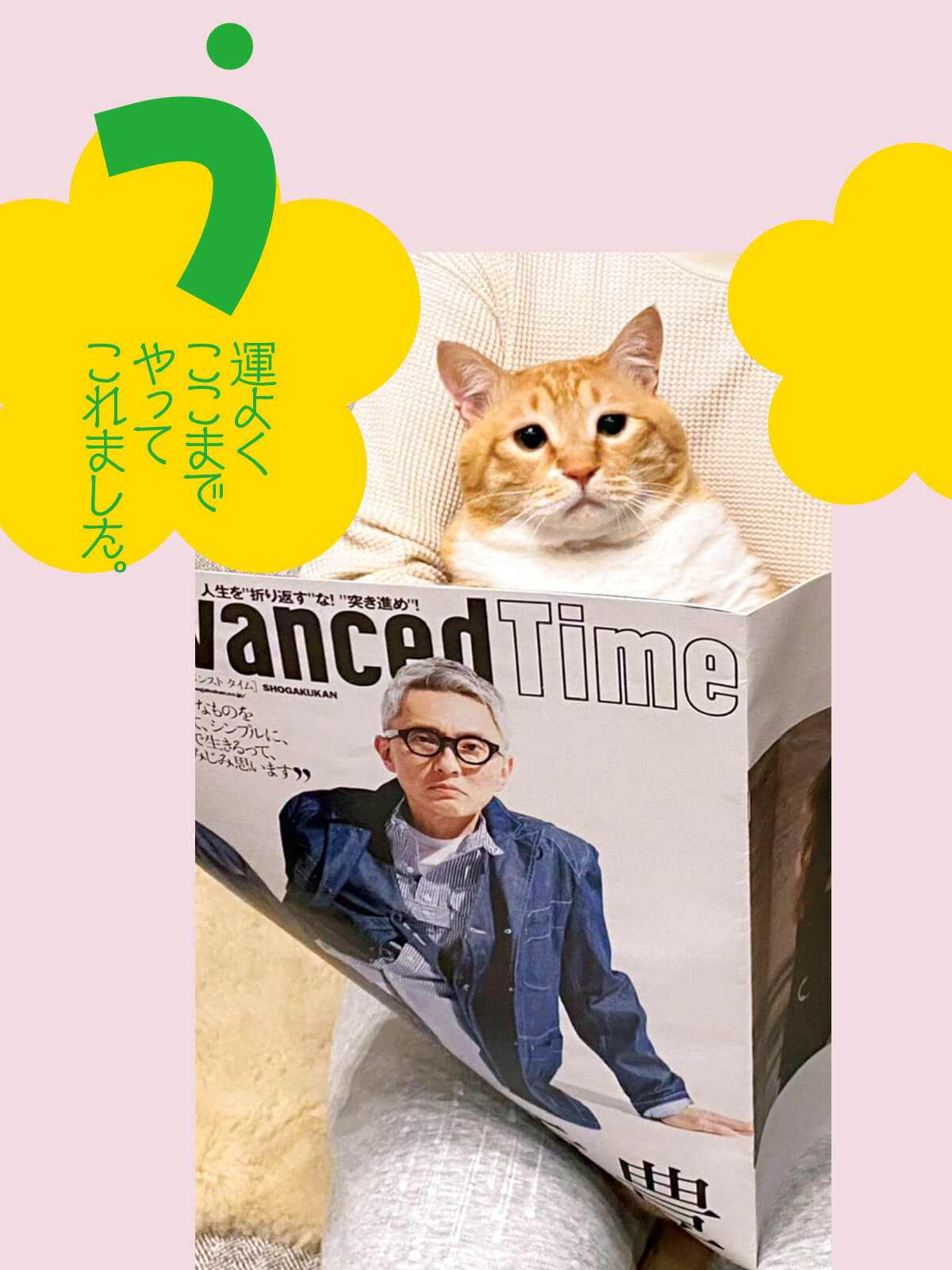 ぐっぴー「運よくここまでやってこれました。」の画像