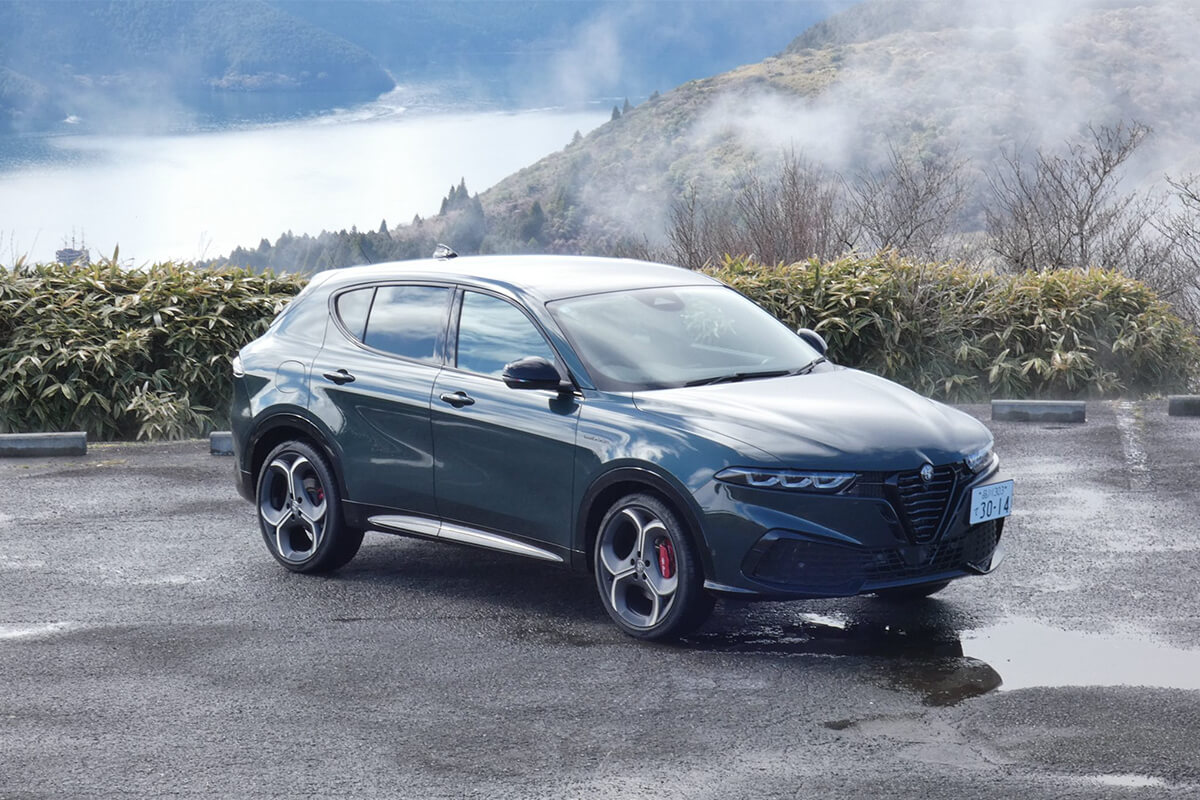 トナーレ （Tonale）の画像