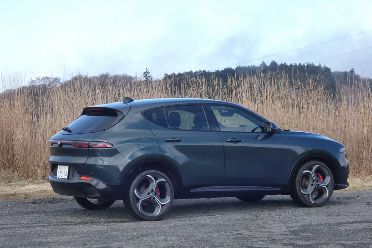 トナーレ （Tonale）の画像