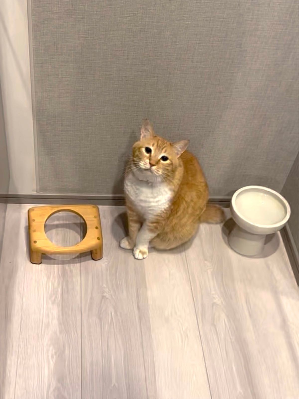 ぐっぴーの画像