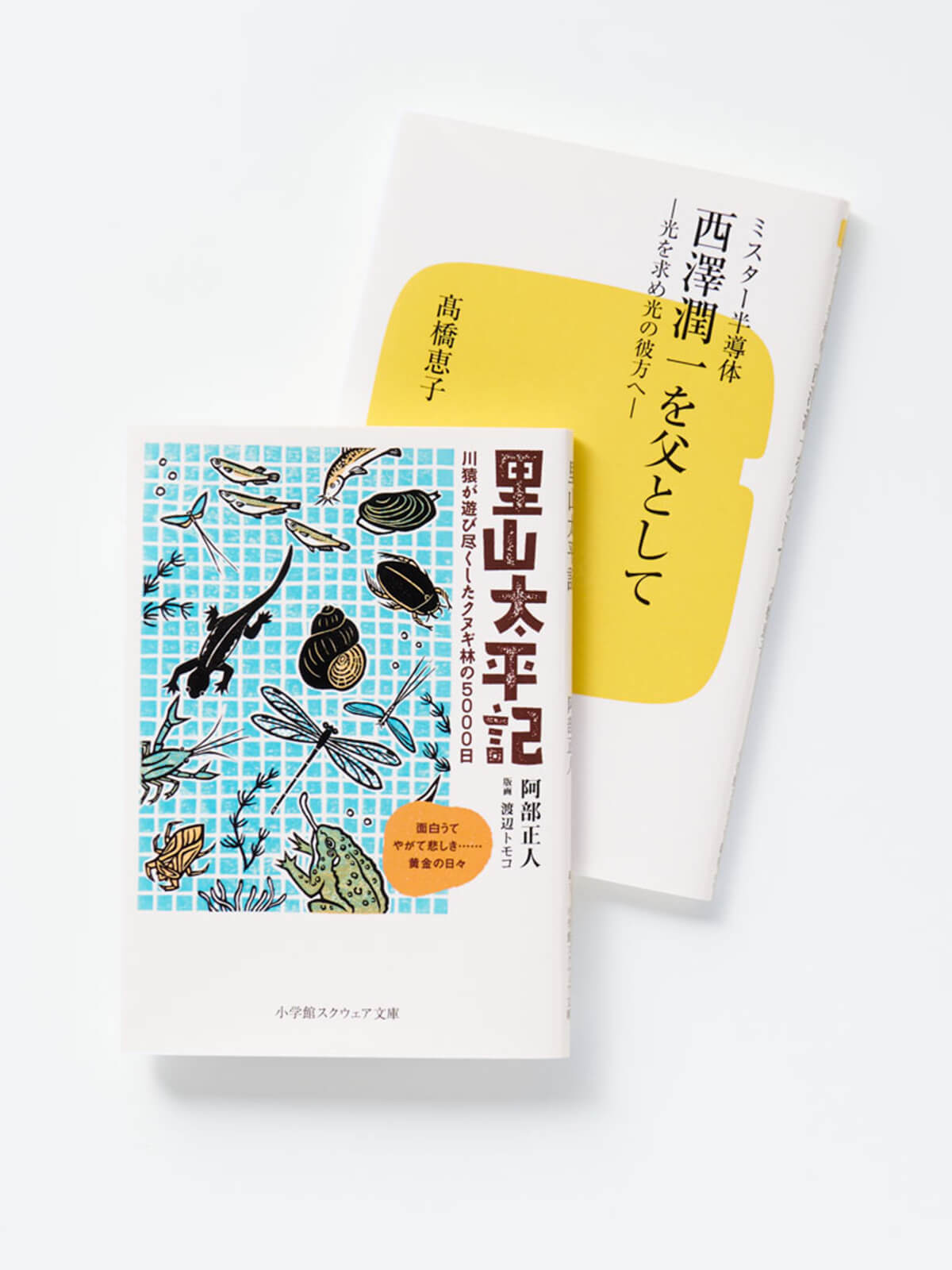 新書・文庫の画像