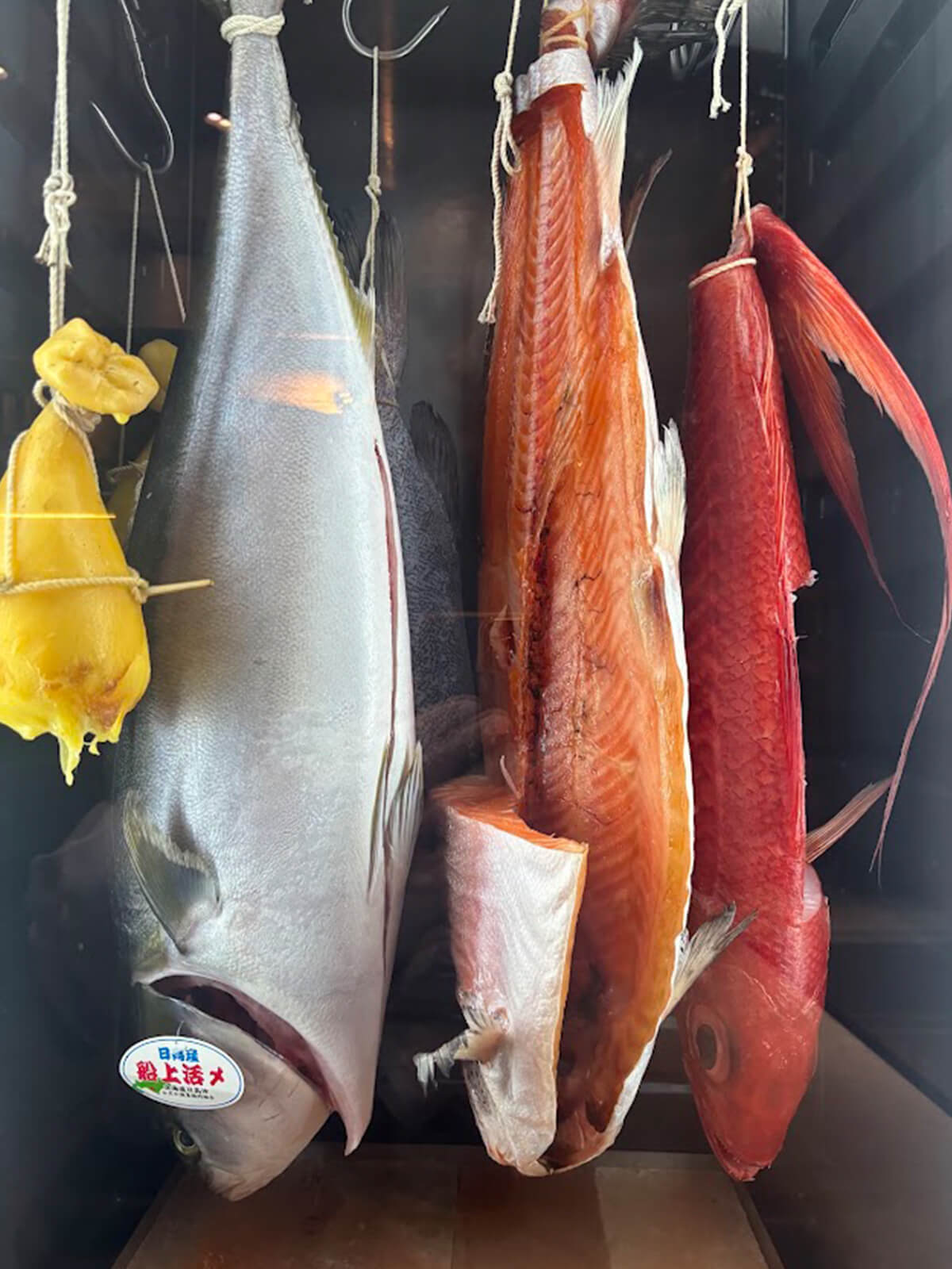 特別に設定された熟成庫に、立派な魚がずらりと吊るされている画像