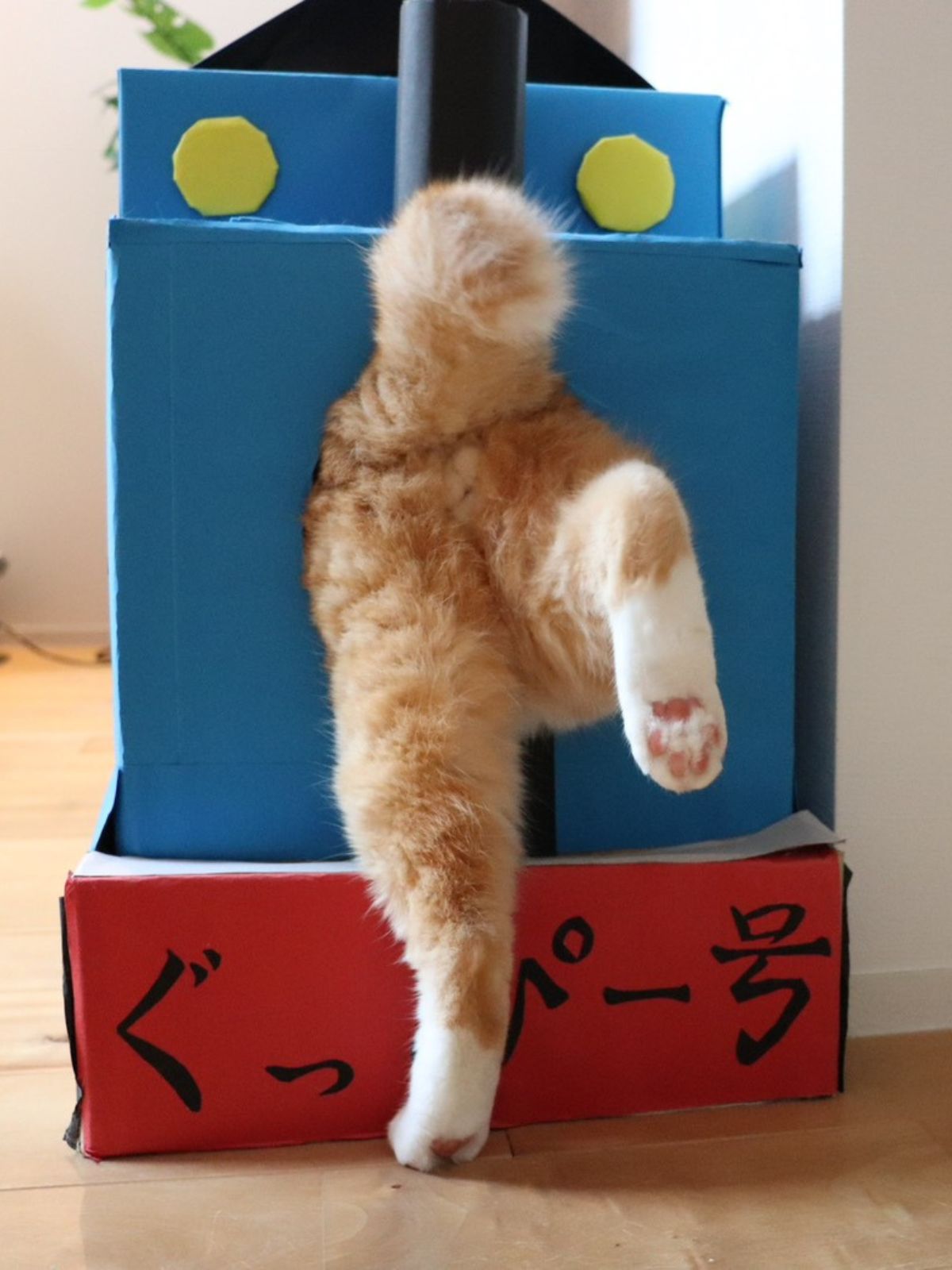 ぐっぴーの画像