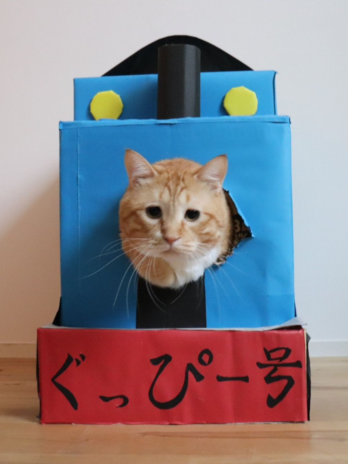 ぐっぴーの画像