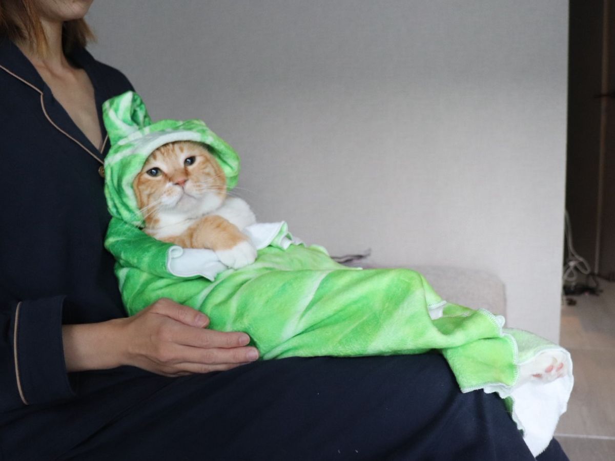 ぐっぴーの画像
